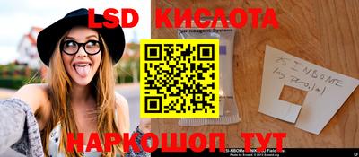 Альфа ПВП Моздок