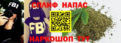 Альфа ПВП Моздок