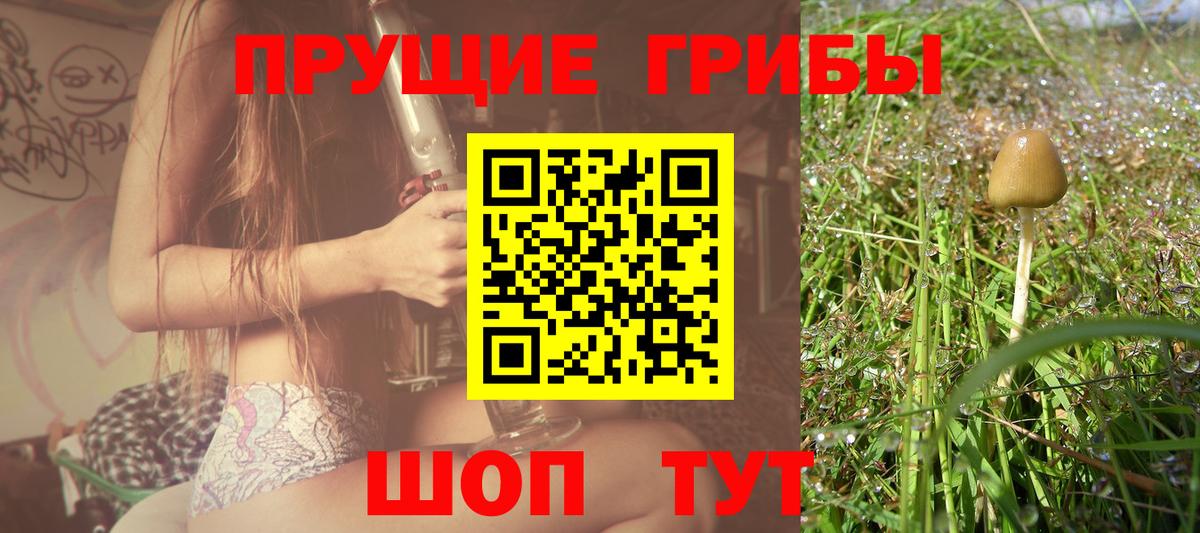 Ивантеевка  Галлюциногенные грибы GOLDEN TEACHER  Псилоцибиновые грибы Magic Shrooms  Вход с VPN 